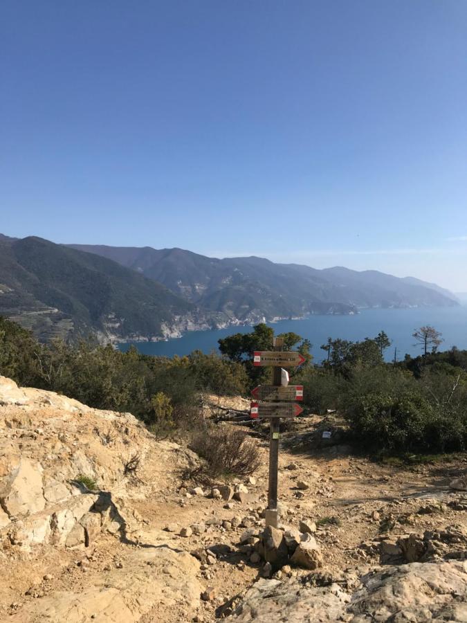 Apartament La Terrazza Del Molino Levanto Zewnętrze zdjęcie
